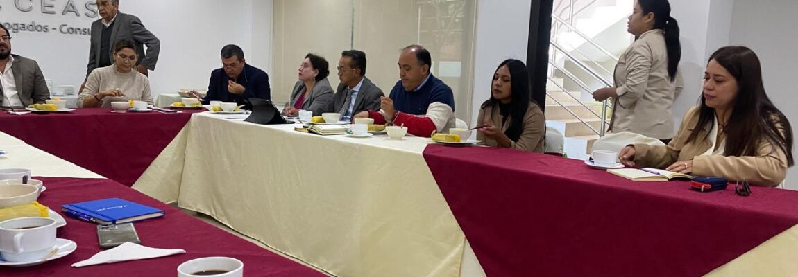 WhatsApp Image 2026-02-06 at 3.33.26 PM